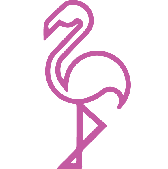 The Frisky Flamingo